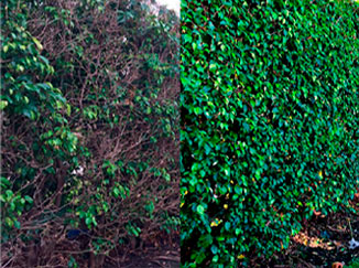 before/after RC work