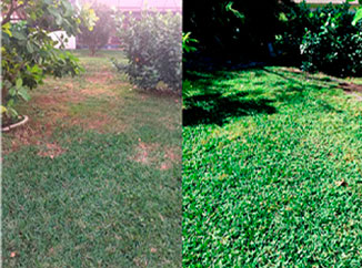 before/after RC work